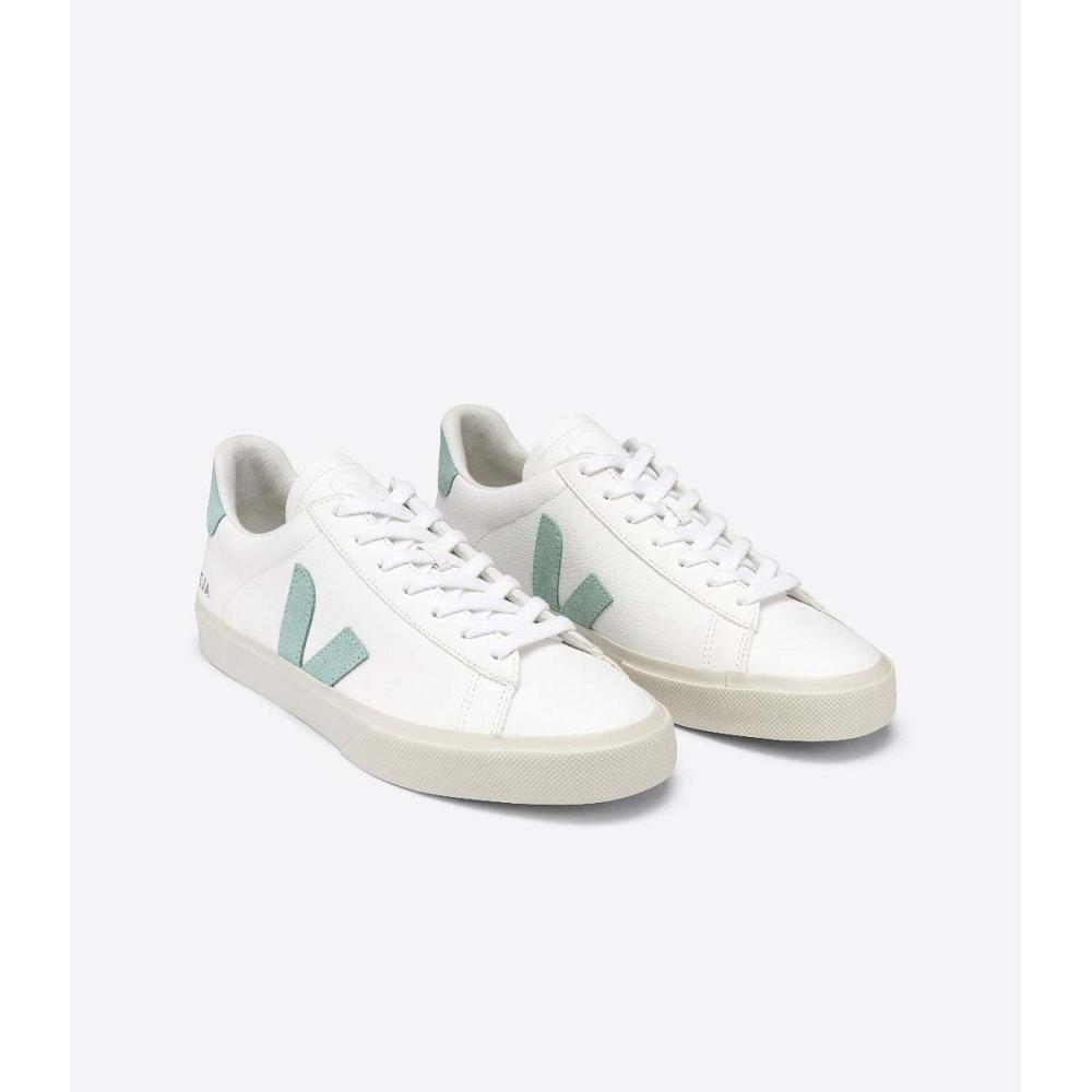 Veja CAMPO CHROMEFREE Low Tops Sneakers Heren White/Green | BE 196NWY